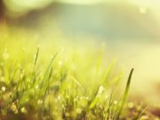 Avoir la Foi : qu’est-ce que cela signifie réellement ?