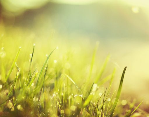 Avoir la Foi : qu’est-ce que cela signifie réellement ?