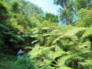 Témoignage : L’histoire poignante d’une dame que la médecine scientifique a échoué de guérir