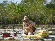 Vietnam : Projet d’exploitation de la plus grande mine de terres rares