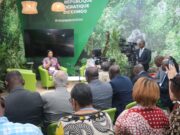 Eve Bazaiba, l’icône congolaise contre le réchauffement climatique