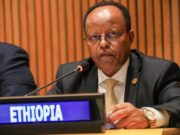 Éthiopie : Le ministre des Affaires étrangères élu président