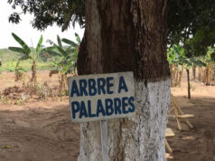 Aux origines de la démocratie africaine