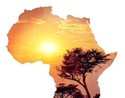 Les nouveaux hommes forts de l’Afrique (2ème partie)