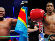 Boxe : Le nouveau combat du siècle Martin Bakole-Anthony Joshua pourrait être organisé en Afrique