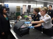 Surtaxes et immigration : Des pays africains remontés contre les États-Unis appliquent la réciprocité