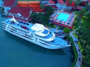 Goma : À la découverte de cette perle rare de la biodiversité