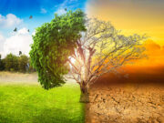 Environnement : La dégradation des terres repousse les « limites planétaires », selon le Potsdam Institute, mais les solutions sont là