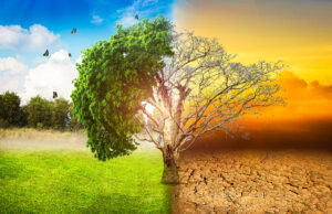 Environnement : La dégradation des terres repousse les « limites planétaires », selon le Potsdam Institute, mais les solutions sont là