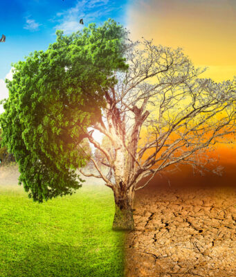 Environnement : La dégradation des terres repousse les « limites planétaires », selon le Potsdam Institute, mais les solutions sont là