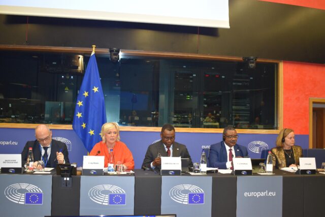 Image 1 ACTU_RDC Parlement Europe