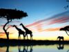 Les principaux pays investissant en Afrique en 2026