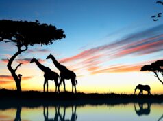 Les principaux pays investissant en Afrique en 2026