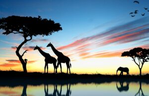 Les principaux pays investissant en Afrique en 2026